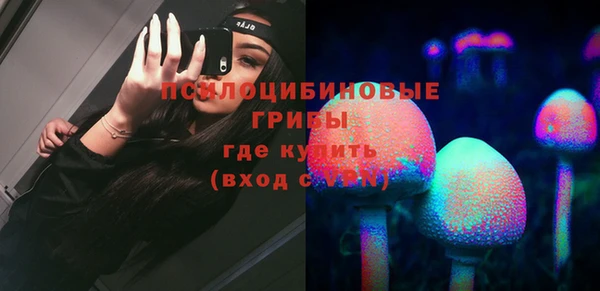 соль ск Армянск