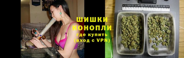 гидра Аркадак