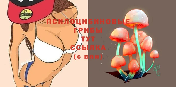 гидра Аркадак