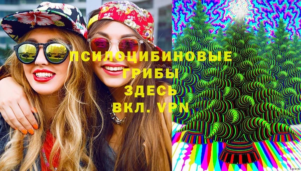 соль курить ск Арсеньев