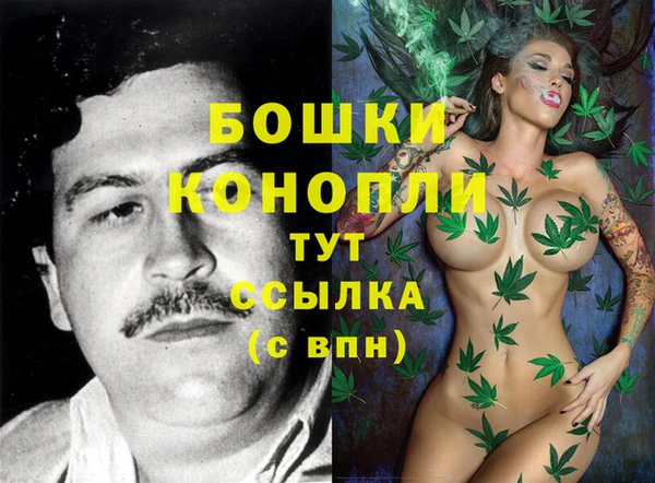 гидра Аркадак
