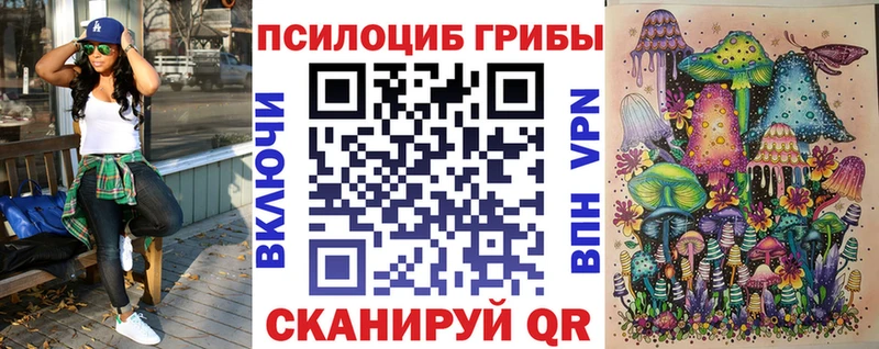 Псилоцибиновые грибы Magic Shrooms  Кологрив 